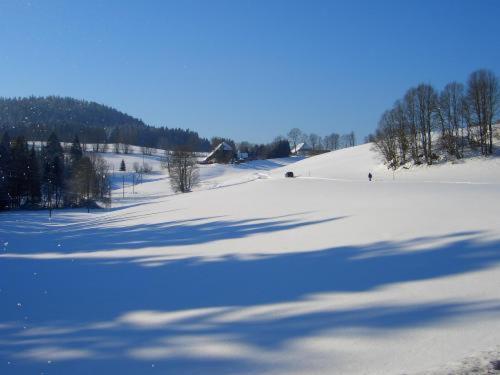 Hotel-Pension Thome Hinterzarten Exterior photo
